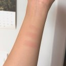 주식회사 리치소프트 | 피치씨 치어풀 블러셔 :: 선명한 발색, 밀착력 좋은 블러셔 추천