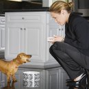 우성동물병원 이미지