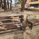 흥해서부초등학교 이미지