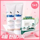 소나무기획