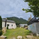 젤루느린달팽이 이미지