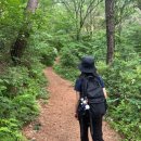 유정리 | 7월 계곡 등산 추천｜광주 태화산 등산코스 후기, 병풍바위·미역산 원점회귀 가족 산행