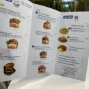 풀리너마이트