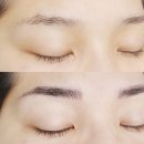 동강대자연 네이버블로그