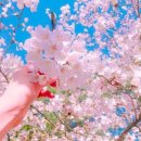 경희대장하태권도 이미지