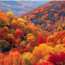 우리 동네 이야기 11 이미지