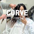 코르브(CORVE) 이미지