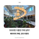 형성팜 | 고모리 대형카페 추천, 포천 베이커리 카페 ‘팜브릿지’ 서울근교 데이트코스 후기