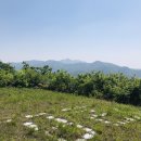 매화산목장 이미지