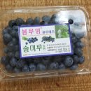 솔미농원 이미지