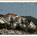 알토란공인중개사사무소 이미지