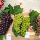 개성농장 2 이미지