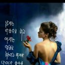 장일남컬렉션 - 도봉구 노해로67길 10 | 장일남컬렉션