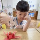 [해찬솔]과학-문어팽이돌리기(회전관성) 이미지