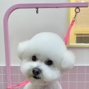 헬로우버디 광교점 이미지
