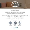 포그니마켓