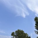 GS25 망원1호점 이미지