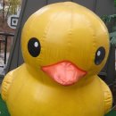 덕