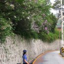 북악자동차 이미지