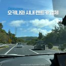 오키나와 시내 렌트카 업체 비용 비교 5곳 면허증 총정리