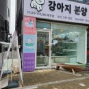 퍼피루미 이미지