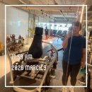 서대전 | 문화동헬스장 추천 바벨피트니스 서대전네거리역점 운동 후기