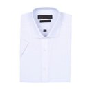 까메리노 이미지