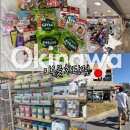 이온 | 오키나와 이온몰 쇼핑 후기 차탄점 쇼핑리스트