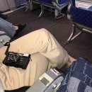 해일월 | 환상의 나라