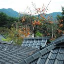 솔방마을 이미지