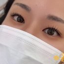 소소히브로우