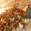 행복2농장 이미지