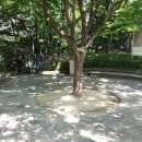 증산공원 게이트볼장 이미지