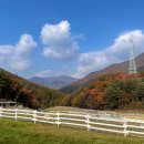 지안목장 이미지