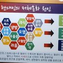 힐스템생활건강 이미지