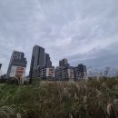 조치원_세종시보건환경연구원 | 📍세종 조치원 엘리프세종 무순위 청약 | &#39;세종 구시가지의 신시가지&#39;에서 아파트 3채 나왔다