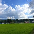 두문마을회관 이미지