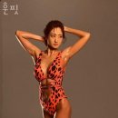 훈핏 이미지
