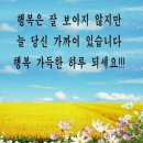 해야달아 Daum카페