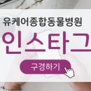 보라매동물병원 이미지
