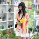 숲(SOOP) | 청주 성안길 컬러풀하고 트렌디한 꽃집 추천 :: 디핑숲 DEPPING SOOP 후기
