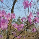 광교산한의원 이미지