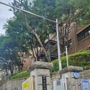 발이봉북로 이미지