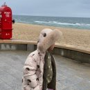 바다게임장M 네이버블로그