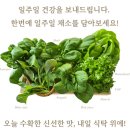 마음담은계절농원 이미지