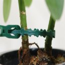 언니네PC 이미지