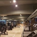 팀샤크