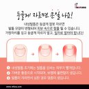 레푸스미아 이미지