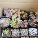 어림경로당 이미지