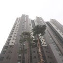 강남-067 이미지